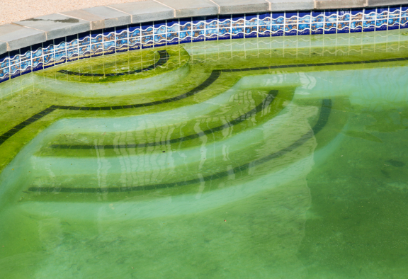 Piscina con agua verde por falta de tratamiento